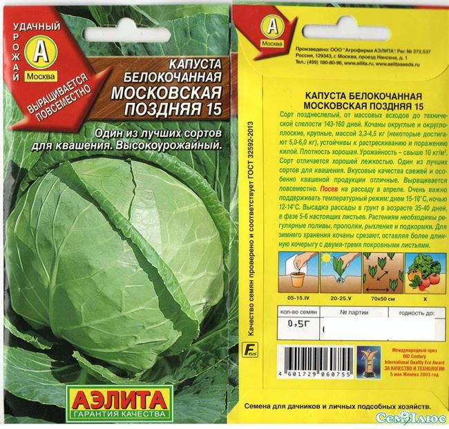 Капуста Московская: культивирование от посева до сбора урожая