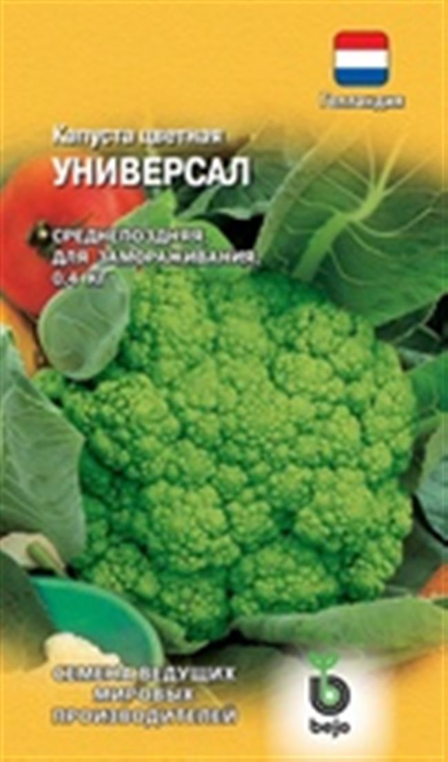 F1 Универс – уникальный отечественный гибрид белокочанной капусты | Картофель и овощи