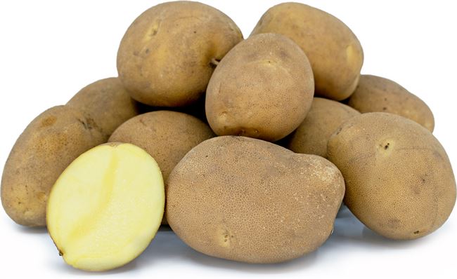 Сорт картофеля Сьерра. Описание, фото, отзывы