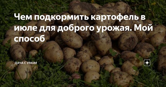 Как удобрять картофель – Правильная подкормка картошки