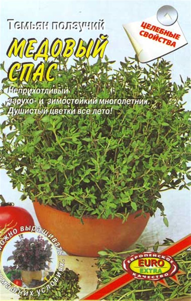 Тимьян Медок: описание овощного сорта, особенности выращивания и свойства