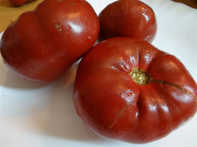 Томат Аппетитный: описание и характеристики сорта, отзывы и фото урожайности помидоров